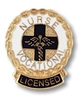 Licensed Vocational Nurse Emblem pin