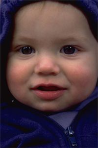 Home Safety and Child Safety products for the whole home or office