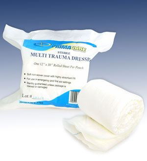 Multi-Trauma Dressing
