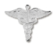Silver Caduceus pin