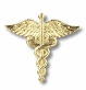 Caduceus - Gold Plate Pin