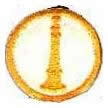 Fire Dept 1" White Circle Lieutenant
