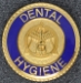 Dental Hygiene Graduation Pin