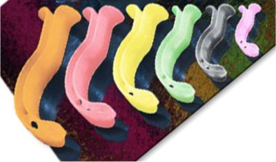 Berman Airway Set