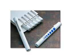 Bulk Pupil Gauge Disposable Penlight - White-