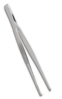 Tissue Forcep - 5.5 inch