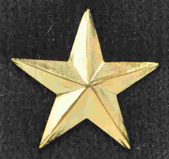 Gold Star Sold in pairs