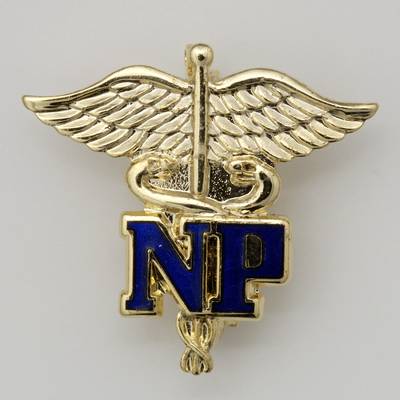 NP Letters on Caduceus Nurse Practitioner Pin NP pin, Nurse Practitioner, Nurse Practitioner on Caduceus